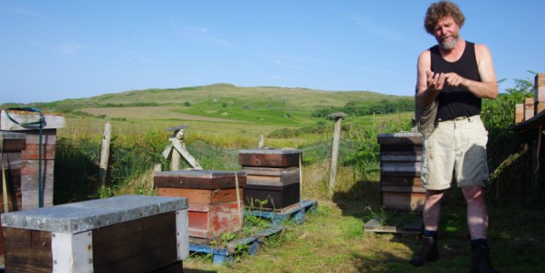 Two Remote Scottish Isles To Become UK’s First Reserve For Honey Bees